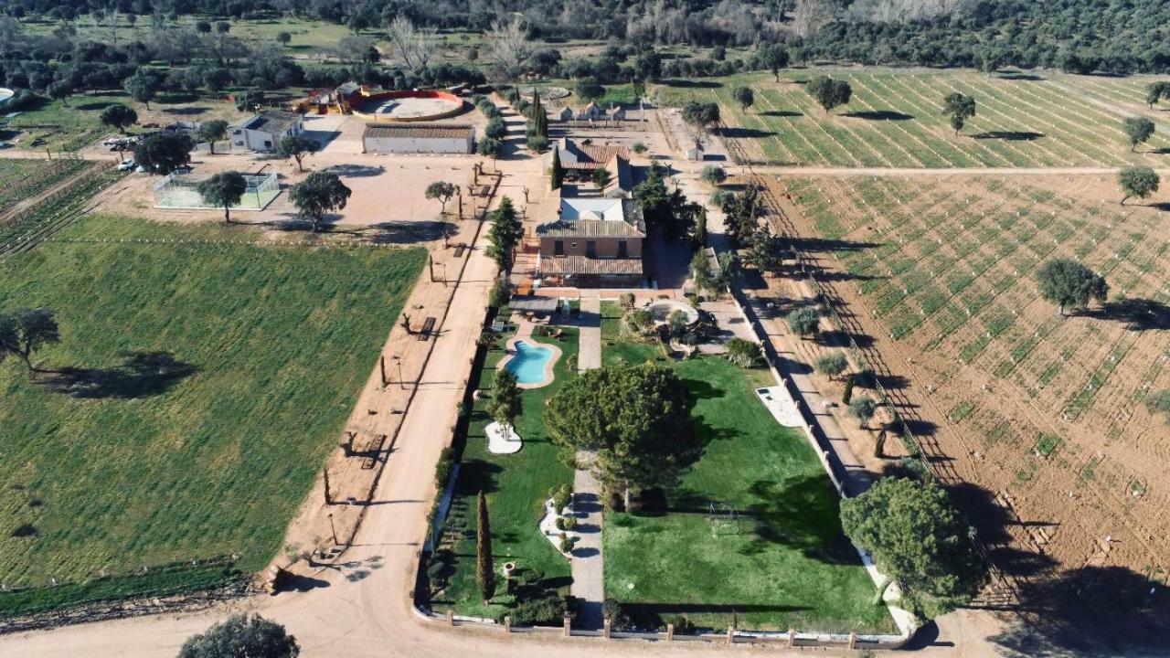 Complejo Valdepusa - Toledo